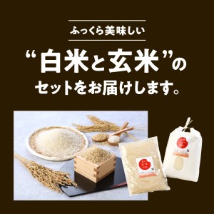宮崎ヒノヒカリ延岡産白米と白い玄米セット合計5.8㎏ N0149-YC090