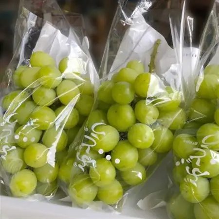 栃木県小山市産シャインマスカット約2.0kg(3～4房)【配送不可地域：離島】【1297371】