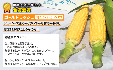【先行受付2026年発送】野菜ソムリエサミット金賞受賞！東御市産とうもろこし（ピュアホワイト・ゴールドラッシュ）約3.2kg（7～10本）｜スイートコーン ※2026年7月上旬～9月上旬に順次発送予定※着日指定不可