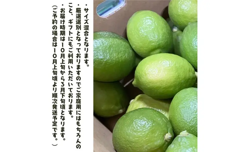 【国産】紀州和歌山 有田レモン 3kg+200g(痛み補償分) ※2026年9月下旬～2027年3月下旬に順次発送【ard032B】
