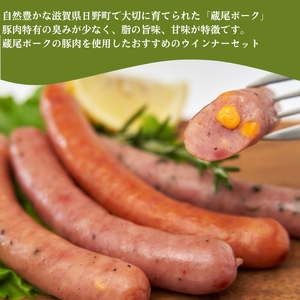 ウインナー ソーセージ 4種 計48本 KO003 │ ウインナー