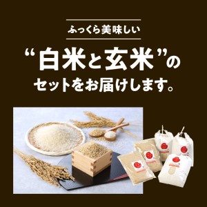 宮崎ヒノヒカリ延岡産白米と白い玄米セット合計16.6㎏ N0149-YE115