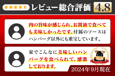 ZIP!で紹介されました！ お肉屋さん手作り 伊万里牛ハンバーグ5個 061-J1863