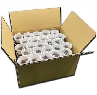 業務用　極小粒納豆（ミニカップ）40g×100個