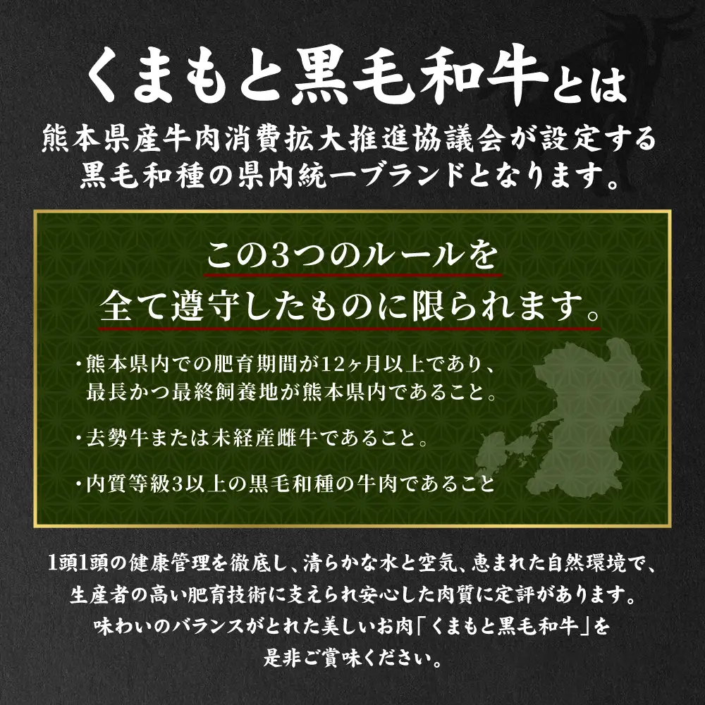 ハンバーグ くまもとDREAMバーグ 150g×5 くまもと黒毛和牛100% ハンバーグ