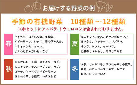 【有機JAS認定】季節の野菜 詰め合わせ 10種類～12種類程度 有機野菜セットA 北海道北広島市