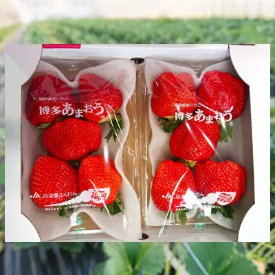 【先行予約／2027年出荷】厳選大粒あまおう（4パック） 3SA2