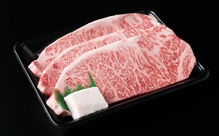 厳選 A5-A4 山形牛 メス牛 サーロインステーキ 450g(150g×3枚) FZ22-256