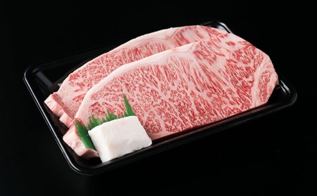 厳選 A5-A4 山形牛 メス牛 サーロインステーキ 300g(150g×2枚) FZ22-257