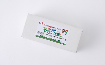 AG21　ミニやさい工場キット　DR-1V1　Web学習教材　【 野菜 栽培 学習 教材 夏休み 宿題 課題 実験 研究 自由研究 子ども 家庭菜園 電子 工作 】