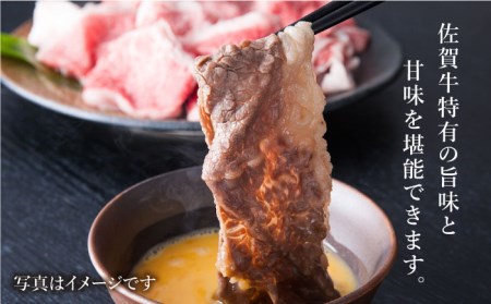 【全6回定期便】 佐賀牛ミンチ＆切り落とし HAA085 牛肉 切り落とし 国産 和牛