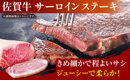 【全6回定期便】佐賀牛 よりどりセット HAA100 国産 和牛 贈答 佐賀牛