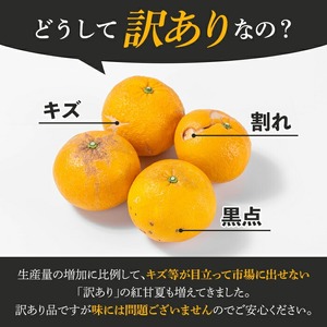 ＜先行予約受付中！2027年3月上旬以降順次発送予定＞ 訳あり！鹿児島県産まかない紅甘夏(約20kg) 国産 鹿児島産 柑橘 訳アリ 果物 フルーツ 旬 常温保存 紅甘夏 ベニアマナツ 数量限定 期間限定 規格外 デザート 阿久根市産【三笠農業生産】akn051-05