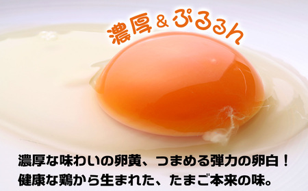 奄美大島の平飼い有精卵　40個入り 鹿児島県 奄美群島 奄美大島 龍郷町 国産 奄美産 たまご 卵 エッグ 有精卵 平飼い お取り寄せ