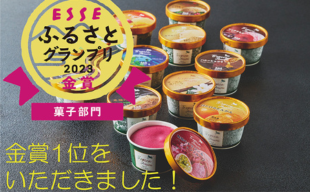 奄美の素材をたっぷり使った贅沢ジェラート詰合わせ　12個入 アイス あいす カップアイス 果物アイス  