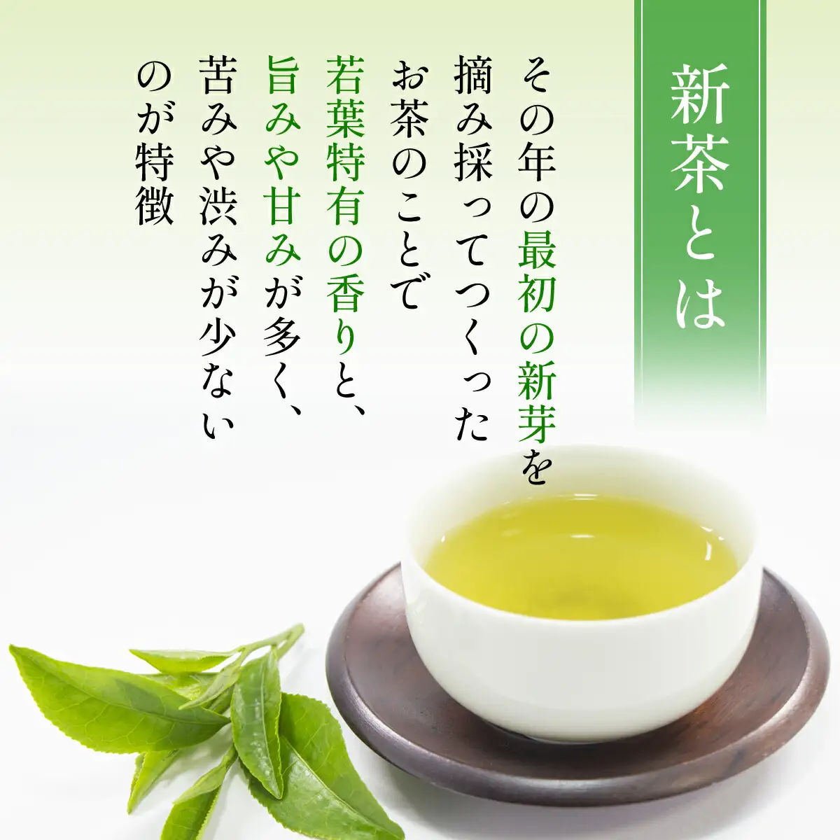 お茶 清水製茶園の朝来みどりお茶セットB