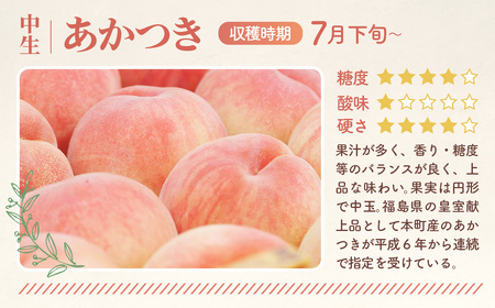 もも【あかつき・2026年産】特秀1.5kg「献上桃の郷ブランド品」桑折町産　JAふくしま未来　桃 ／ もも モモ 果物 フルーツ 旬 甘い 甘み ジューシー 果肉 果汁 新鮮 フレッシュ デザート おいしい 産地直送 桑折 こおり こおりまち 福島県 特産品 No.136