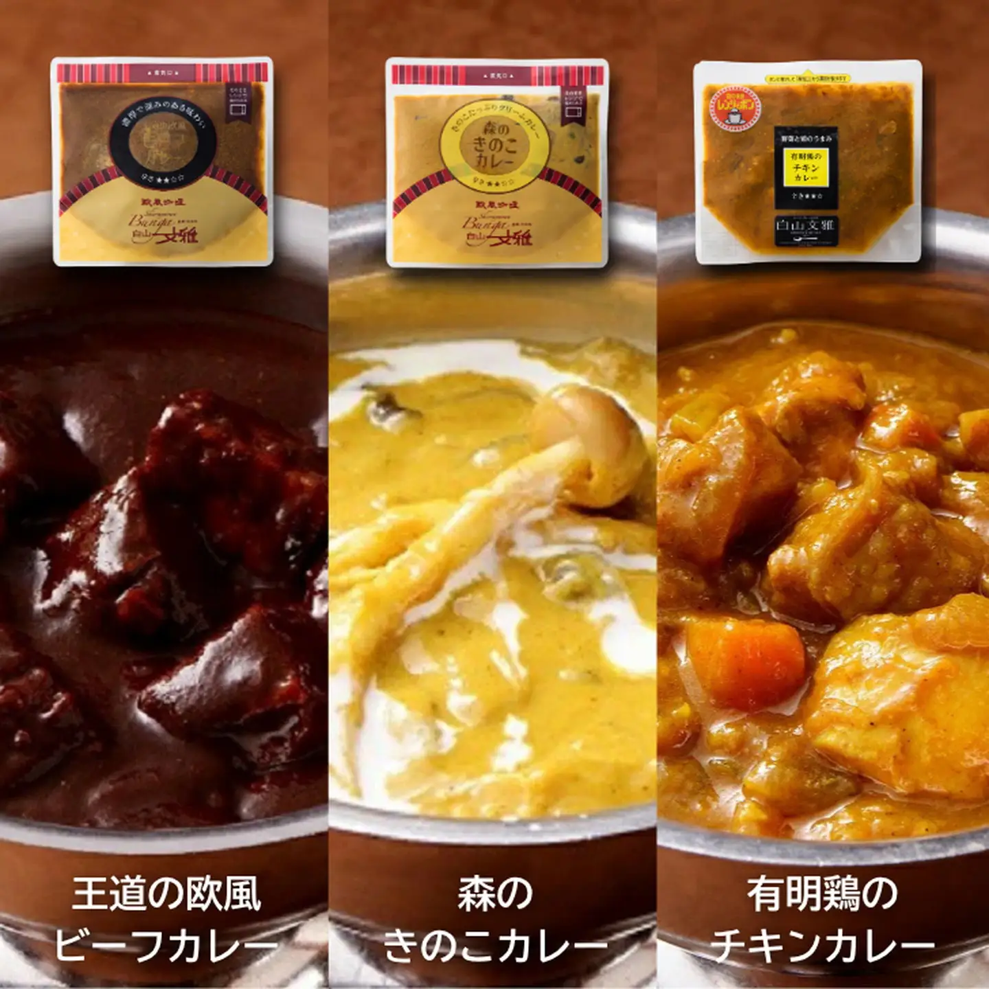 白山文雅カレー 5種食べ比べセット 老舗 名店 欧風カレー：B250-030