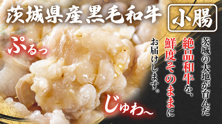 【茨城県産】 黒毛和牛 もつ鍋 焼肉用 小腸 1.2kg（200g×6パック） (茨城県共通返礼品)