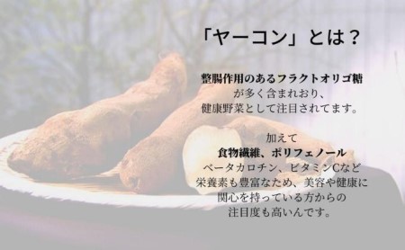 【 小豆島 】フラフトオリゴ糖入り！もちっぷりっつるん【ヤーコン麺】（健康 麺 ギフト 贈答品 お歳暮 贈り物） スーパーフード 無添加 パスタ 簡単調理 