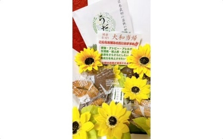 大和当帰 焼菓子 セット 卵不使用／エクステ 大和当帰 ショコラサブレ リーフパイ お取り寄せ 奈良県 宇陀市