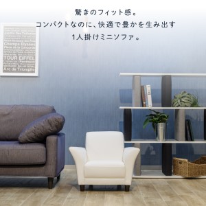 IRISmini（イーリスミニ）1人掛けミニソファ 460177001 SG-14(ミラニーズ)