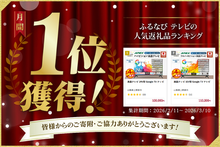 液晶テレビ 24V型 Google TV テレビ