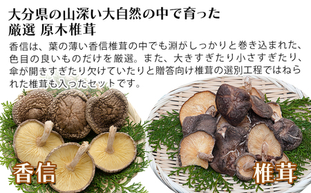 大分県産 原木椎茸2種食べ比べセットE(香信・椎茸)  |干し椎茸 乾燥椎茸 乾しいたけ しいたけ 九州産 中津市 国産 送料無料