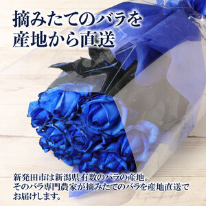 日時指定可】青 バラ 花束 10本 ブーケ 薔薇 花束 父の日 G06_01