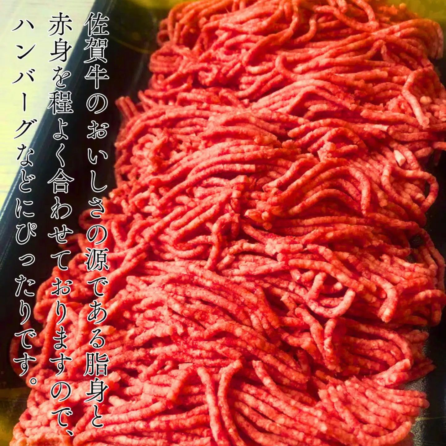 佐賀牛100%ミンチひき肉 500g：B140-025