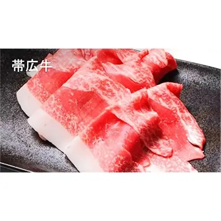 帯広牛 豊西牛 切り落とし 食べ比べ セット 計1kg (帯広牛2袋、豊西牛3袋)_肉  牛肉 _【配送不可地域：離島】【1309249】