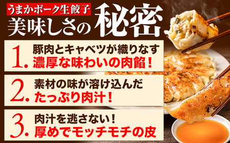 餃子 うまかポーク生餃子 150個 タレ付き 大津町限定返礼品 冷凍餃子 ギョウザ《30日以内に出荷予定(土日祝除く)》大津町産豚肉使用 九州産キャベツ使用（大津町産含む）皮モチモチ 肉汁溢れる ぎょうざ （30個×5袋） 