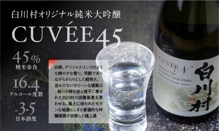 数量限定 白川村純米大吟醸 CUVEE45 お酒 日本酒 720ml 1本 白川村産 山田錦 やまだにしき 氷温熟成 特別なお酒 地酒 世界遺産白川郷 村内限定品 渡辺酒造店 オリジナル品 14,000円 [S285]