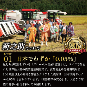 新之助【令和7年産】新之助 5㎏  玄米 米 数量限定 D18_03