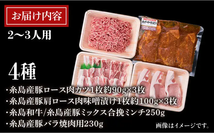【使いやすい豚肉＆牛肉セット】毎日のメインのおかずを彩る 精肉 セット 4種 ( 約1kg ) 2-3人前 4種 糸島市/糸島ミートデリ工房 [ACA200]