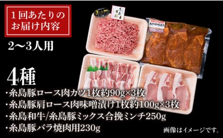 【全12回定期便】毎日のメインのおかずを彩る精肉セット 1,050g 2-3人前 4種 糸島市/糸島ミートデリ工房[ACA203]