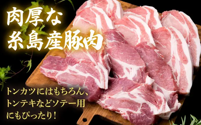 【合計11枚】とんかつ用セット 糸島豚ロース肉 約100g×6枚/肩ロース 約120g×5枚 豚肉 糸島市/糸島ミートデリ工房[ACA228]