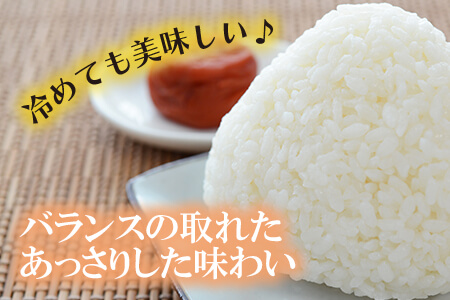 鹿児島県志布志市産ヒノヒカリ 精白米 計10kg(5kg×2袋) a6-032-R5