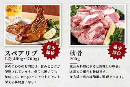 宮崎県産 THE HOUBOQ 豚肉希少部位＋α極セット≪スペアリブ・軟骨・ヒレ・ロースブロック・バラしゃぶ・モモスライス≫［宮崎県 椎葉村 国産 国産豚 ぶた 豚 ポーク 豚肉 にく おにく 肉 お肉 やきにく 焼肉 バーベキュー BBQ 冷凍 料理 日本三大秘境］【HB-93】