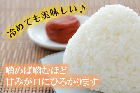 鹿児島県志布志市産こしひかり 精白米 計10kg(5kg×2袋) a6-031-R5