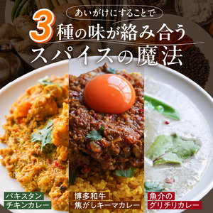 3種のスパイスカレーあいがけセット_ チキンカレー キーマカレー グリーンカレー 各 180g × 2パック 計 6パック スパイスカレー あいがけ セット 食べ比べ 自由 組み合わせ 新しい 味わい カレー 冷凍 お取り寄せ 福岡県 久留米市 送料無料 〔Ca025〕
