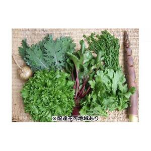 野菜 旬の「固定種」野菜 バイオダイナミック農業 7品目前後（6月～10月のお届け）冷蔵配送