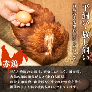 ＜お試し用＞ 平飼い赤鶏のたまご (計10個) 元さん農園 卵 玉子 卵かけご飯 玉子焼き 平飼い 鶏 鶏卵 養鶏場直送送 朝採れ 新鮮 大分県 佐伯市 【GE002】【 (株)海九】
