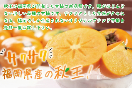 柿 秋王 4-6玉 約 1.5kg [um40azo970028] 柿