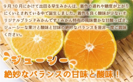 みかん 早味かん 約 4kg [um40azo970031] みかん