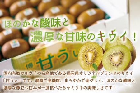 キウイ 甘うぃ 約 3kg [um40azo970033] キウイ