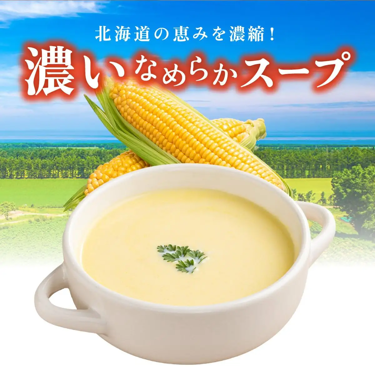 5525-0685]北海道 コーンスープ 250g 20袋 2-3人前 濃縮 スープ コーン