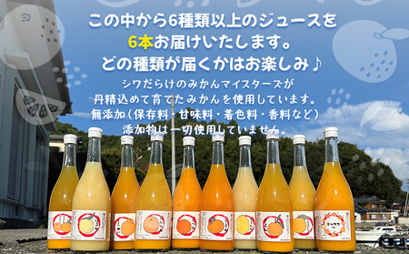 ＜一歩会 ジュエリーボックス ジュース飲み比べセット 720ml×6本入り（果汁100%ストレートジュース）愛媛 みかん＞ ミカン 柑橘 果物 フルーツ 特産品 渡江から一歩を踏み出す会 飲んで応援 愛媛県 西予市【常温】『令和8年5月より順次出荷予定』ATI0020