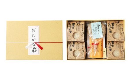A105 おたかな箱 お米 1.2kg  高菜 3種 コースター 1枚
