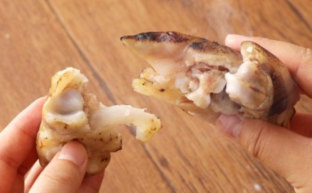 A89 鹿児島産 焼豚足 170g×8個 計1360g 豚足